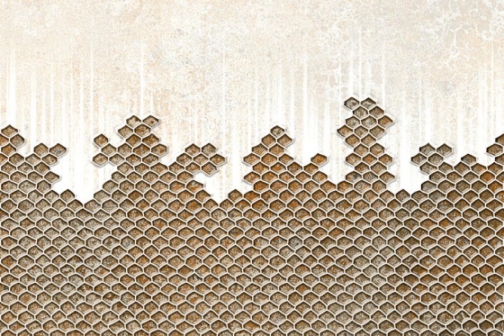 Wall Tiles-300 x 450 MM-Glossy-EX-0304-GL-101-HL