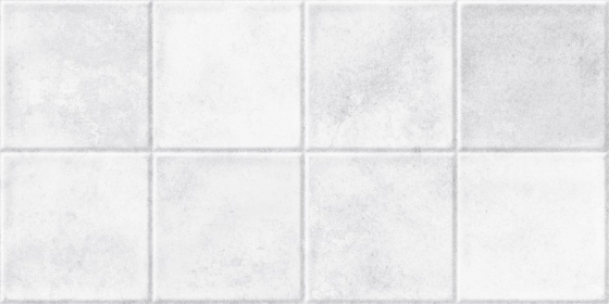 Wall Tiles-300 x 600 MM-Matt-EX-0306-MT-801-L